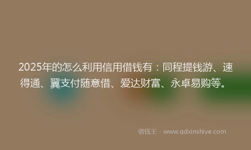 2025年的怎么利用信用借钱有：同程提钱游、速得通、翼支付随意借、爱达财富、永卓易购等。