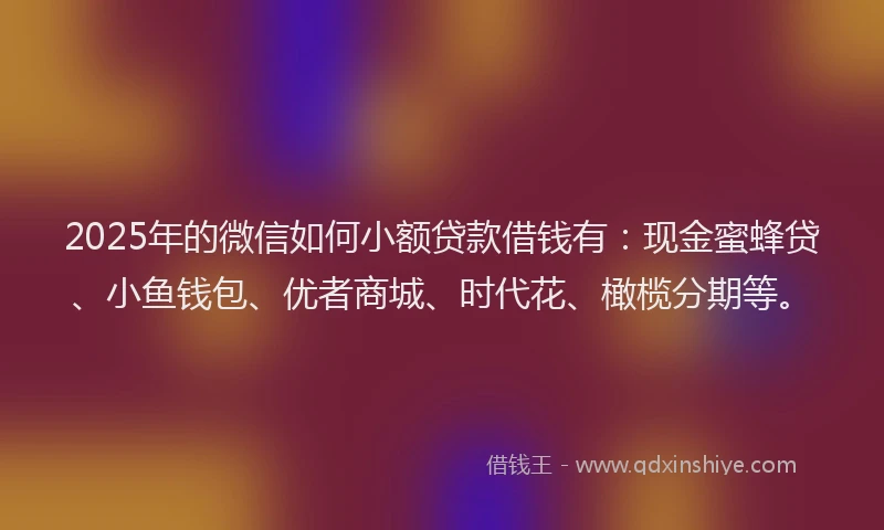 2025年的微信如何小额贷款借钱有：现金蜜蜂贷、小鱼钱包、优者商城、时代花、橄榄分期等。