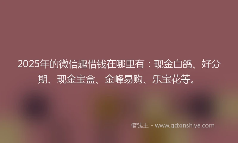 2025年的微信趣借钱在哪里有：现金白鸽、好分期、现金宝盒、金峰易购、乐宝花等。