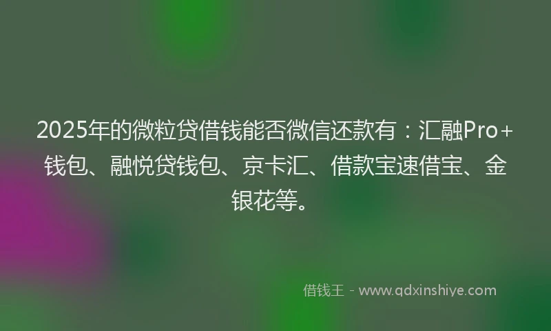 2025年的微粒贷借钱能否微信还款有：汇融Pro+钱包、融悦贷钱包、京卡汇、借款宝速借宝、金银花等。