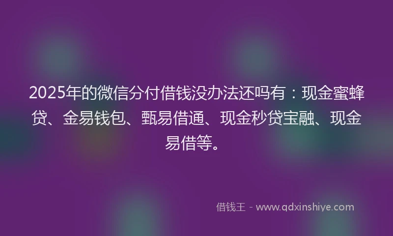 2025年的微信分付借钱没办法还吗有：现金蜜蜂贷、金易钱包、甄易借通、现金秒贷宝融、现金易借等。