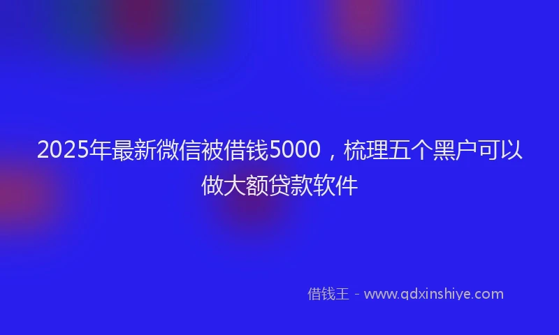 2025年最新微信被借钱5000，梳理五个黑户可以做大额贷款软件