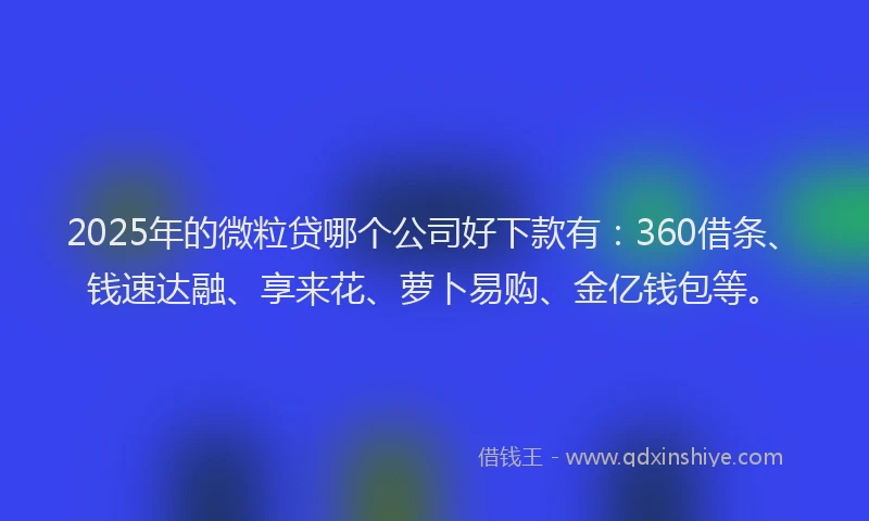 2025年的微粒贷哪个公司好下款有：360借条、钱速达融、享来花、萝卜易购、金亿钱包等。