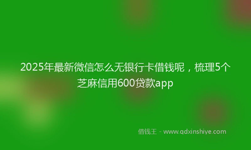 2025年最新微信怎么无银行卡借钱呢，梳理5个芝麻信用600贷款app