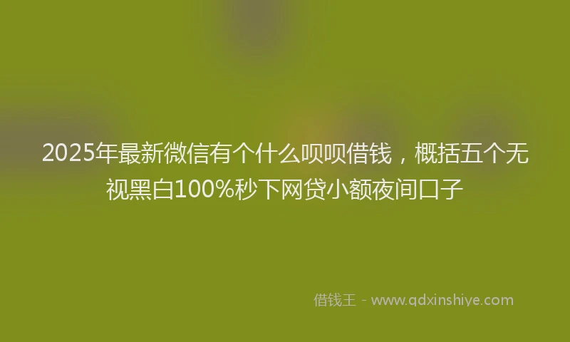 2025年最新微信有个什么呗呗借钱，概括五个无视黑白100%秒下网贷小额夜间口子