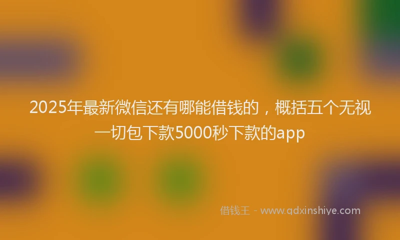 2025年最新微信还有哪能借钱的，概括五个无视一切包下款5000秒下款的app