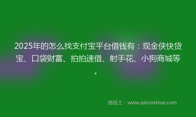 2025年的怎么找支付宝平台借钱有：现金侠快贷宝、口袋财富、拍拍速借、射手花、小狗商城等。