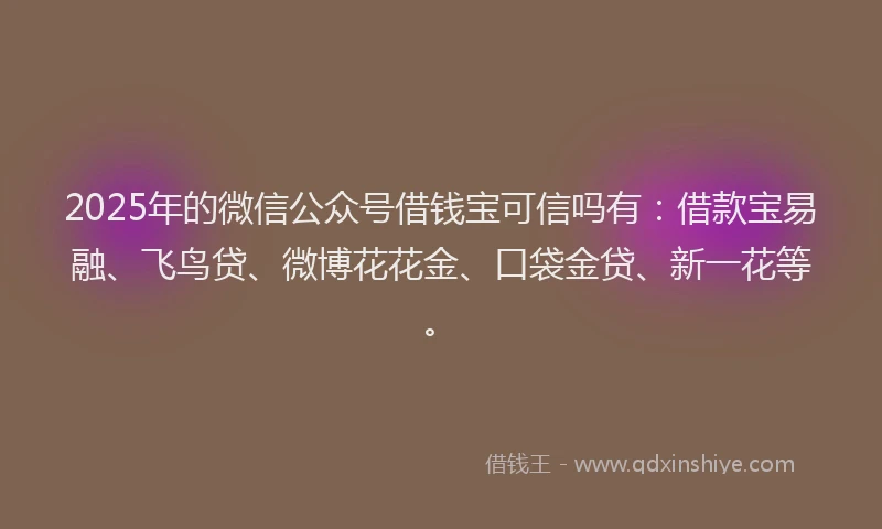2025年的微信公众号借钱宝可信吗有：借款宝易融、飞鸟贷、微博花花金、口袋金贷、新一花等。