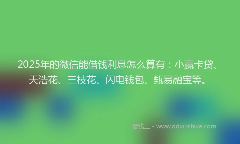 2025年的微信能借钱利息怎么算有：小赢卡贷、天浩花、三枝花、闪电钱包、甄易融宝等。