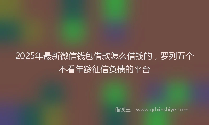 2025年最新微信钱包借款怎么借钱的，罗列五个不看年龄征信负债的平台