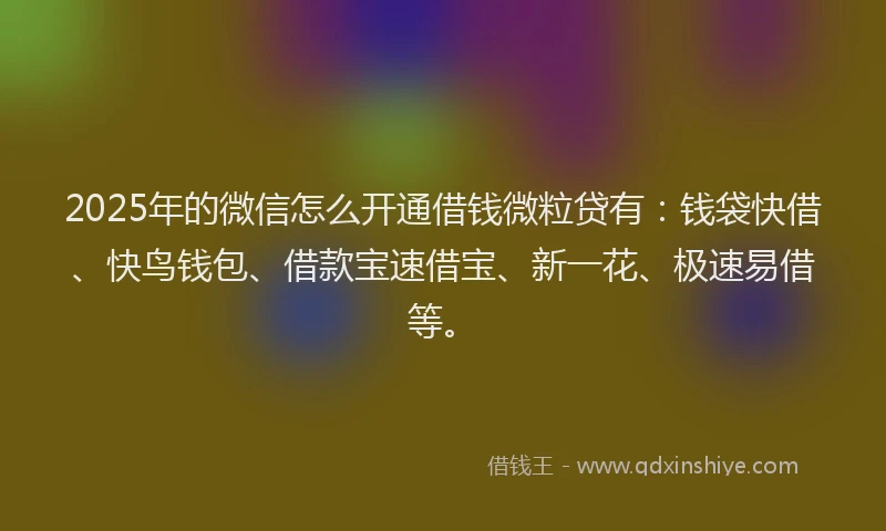 2025年的微信怎么开通借钱微粒贷有：钱袋快借、快鸟钱包、借款宝速借宝、新一花、极速易借等。