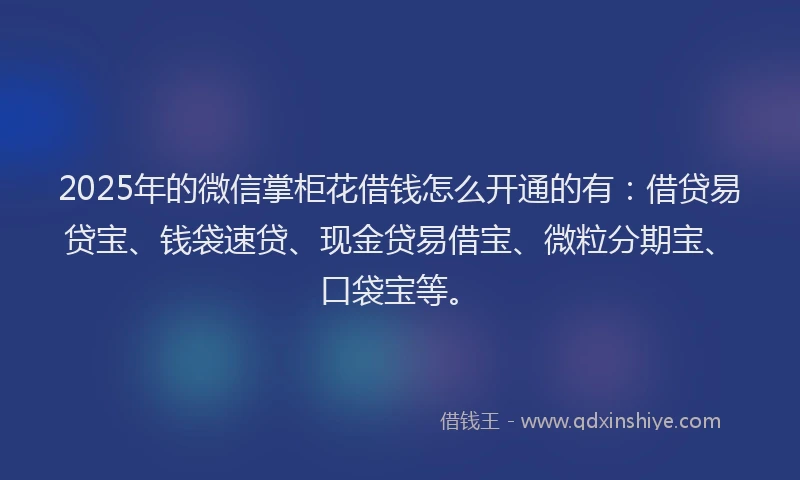 2025年的微信掌柜花借钱怎么开通的有：借贷易贷宝、钱袋速贷、现金贷易借宝、微粒分期宝、口袋宝等。