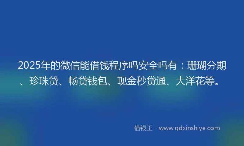 2025年的微信能借钱程序吗安全吗有：珊瑚分期、珍珠贷、畅贷钱包、现金秒贷通、大洋花等。