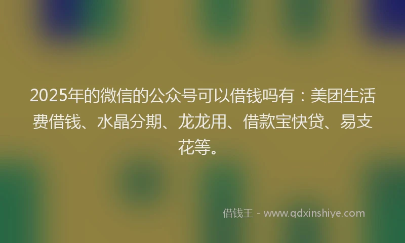 2025年的微信的公众号可以借钱吗有：美团生活费借钱、水晶分期、龙龙用、借款宝快贷、易支花等。
