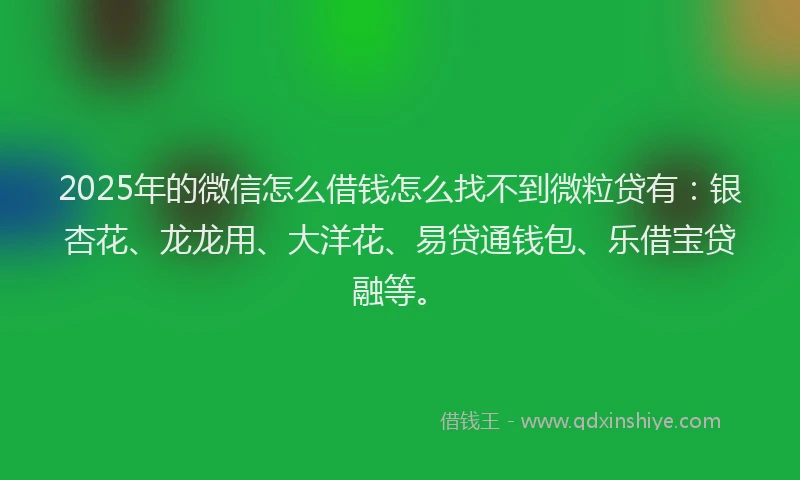 2025年的微信怎么借钱怎么找不到微粒贷有：银杏花、龙龙用、大洋花、易贷通钱包、乐借宝贷融等。