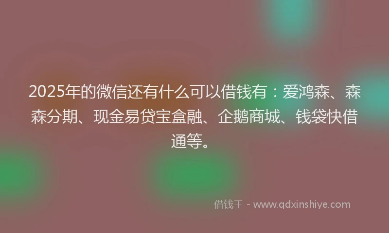 2025年的微信还有什么可以借钱有：爱鸿森、森森分期、现金易贷宝盒融、企鹅商城、钱袋快借通等。