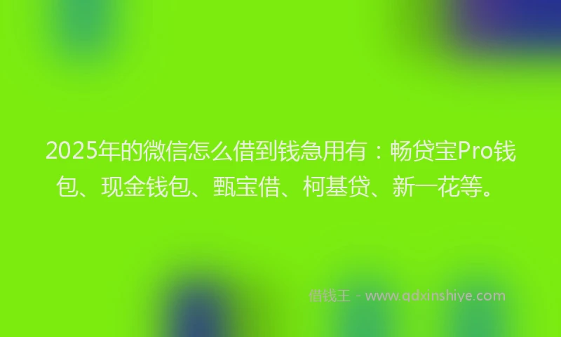 2025年的微信怎么借到钱急用有：畅贷宝Pro钱包、现金钱包、甄宝借、柯基贷、新一花等。