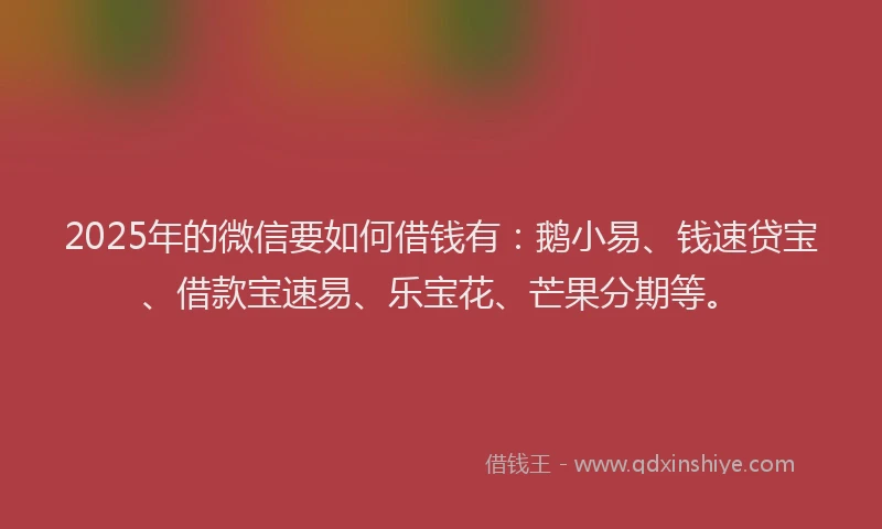 2025年的微信要如何借钱有：鹅小易、钱速贷宝、借款宝速易、乐宝花、芒果分期等。