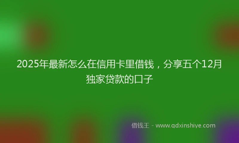 2025年最新怎么在信用卡里借钱，分享五个12月独家贷款的口子
