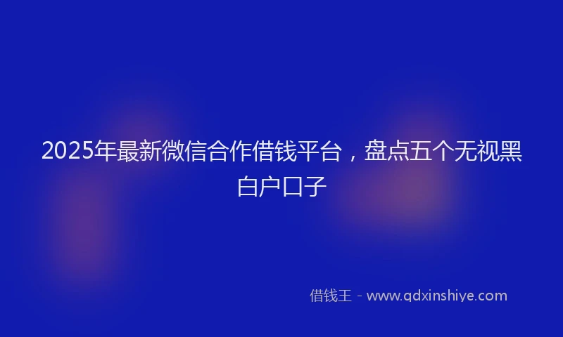 2025年最新微信合作借钱平台，盘点五个无视黑白户口子