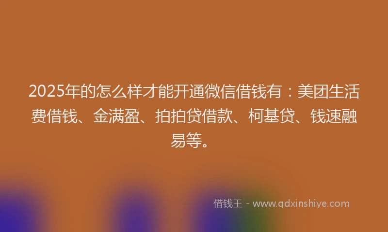 2025年的怎么样才能开通微信借钱有：美团生活费借钱、金满盈、拍拍贷借款、柯基贷、钱速融易等。