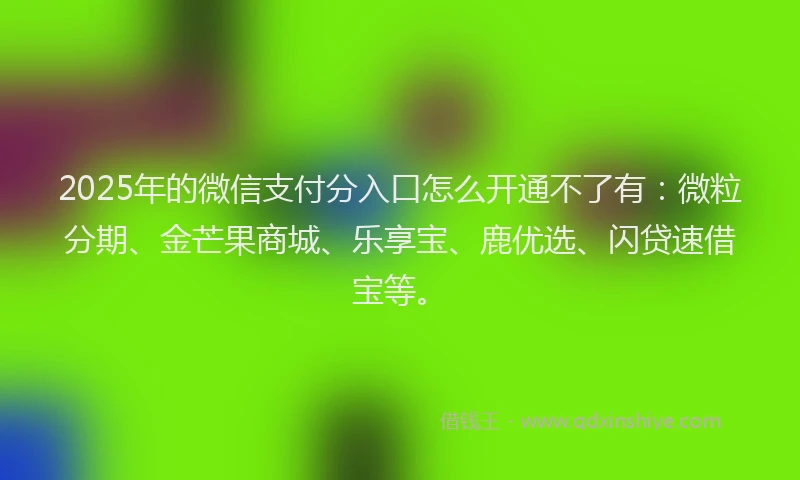 2025年的微信支付分入口怎么开通不了有：微粒分期、金芒果商城、乐享宝、鹿优选、闪贷速借宝等。