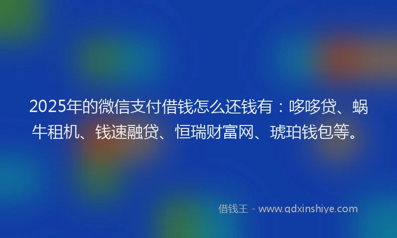 2025年的微信支付借钱怎么还钱有：哆哆贷、蜗牛租机、钱速融贷、恒瑞财富网、琥珀钱包等。