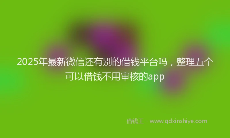 2025年最新微信还有别的借钱平台吗，整理五个可以借钱不用审核的app