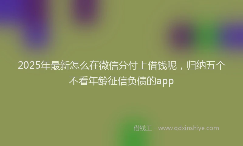 2025年最新怎么在微信分付上借钱呢，归纳五个不看年龄征信负债的app