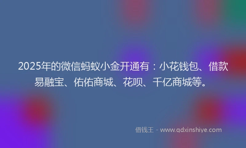 2025年的微信蚂蚁小金开通有：小花钱包、借款易融宝、佑佑商城、花呗、千亿商城等。