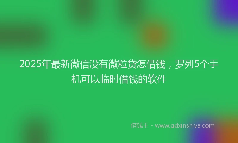 2025年最新微信没有微粒贷怎借钱，罗列5个手机可以临时借钱的软件