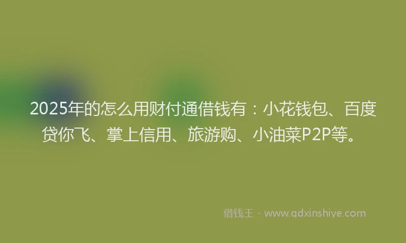 2025年的怎么用财付通借钱有：小花钱包、百度贷你飞、掌上信用、旅游购、小油菜P2P等。