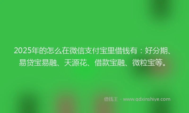 2025年的怎么在微信支付宝里借钱有：好分期、易贷宝易融、天源花、借款宝融、微粒宝等。