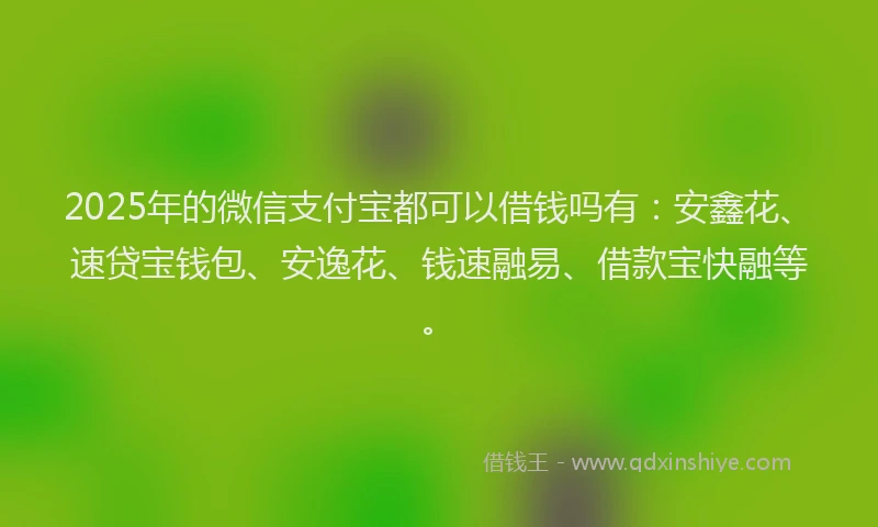 2025年的微信支付宝都可以借钱吗有：安鑫花、速贷宝钱包、安逸花、钱速融易、借款宝快融等。