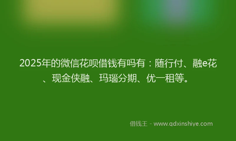 2025年的微信花呗借钱有吗有：随行付、融e花、现金侠融、玛瑙分期、优一租等。