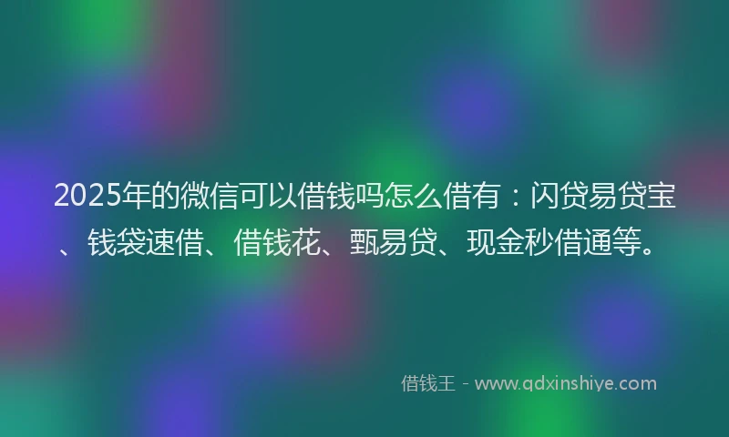 2025年的微信可以借钱吗怎么借有：闪贷易贷宝、钱袋速借、借钱花、甄易贷、现金秒借通等。