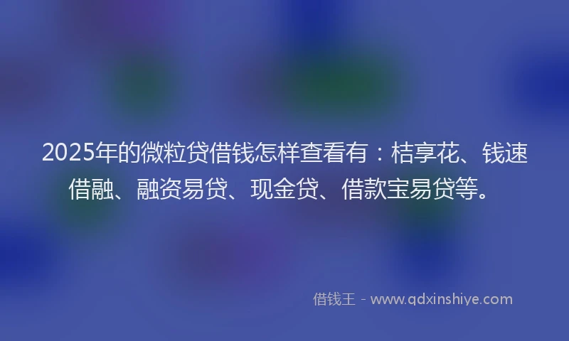 2025年的微粒贷借钱怎样查看有：桔享花、钱速借融、融资易贷、现金贷、借款宝易贷等。