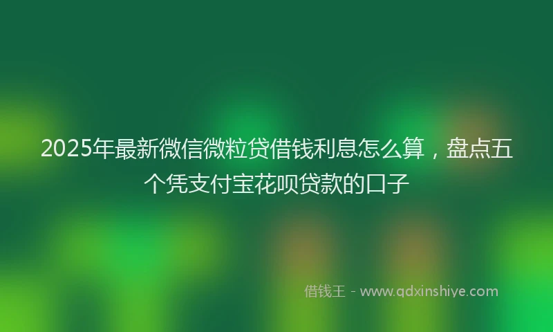 2025年最新微信微粒贷借钱利息怎么算，盘点五个凭支付宝花呗贷款的口子