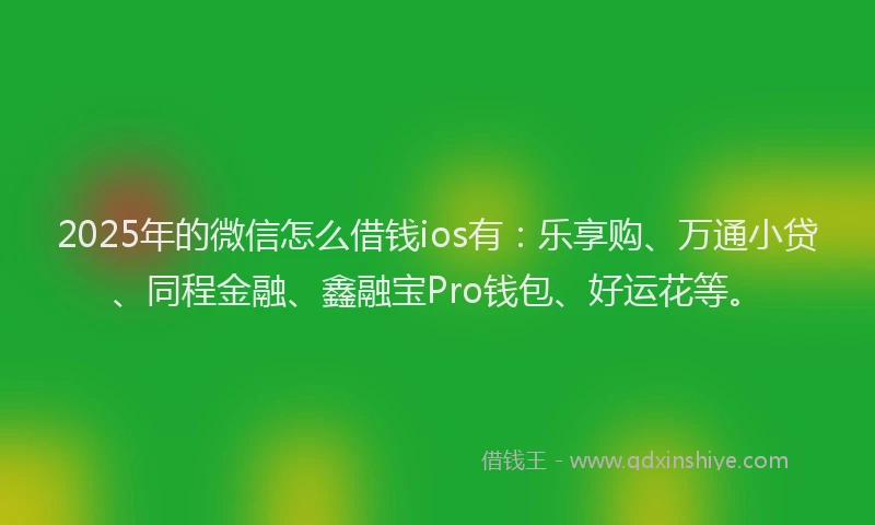 2025年的微信怎么借钱ios有：乐享购、万通小贷、同程金融、鑫融宝Pro钱包、好运花等。