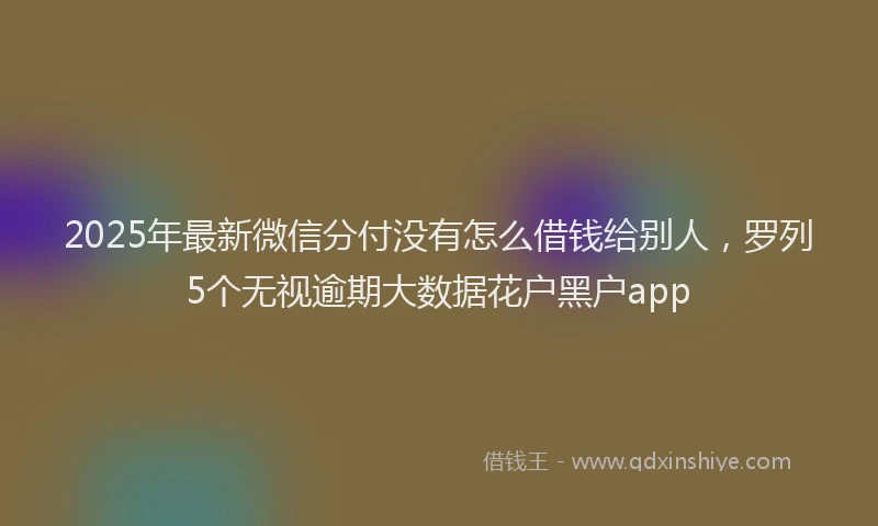 2025年最新微信分付没有怎么借钱给别人，罗列5个无视逾期大数据花户黑户app