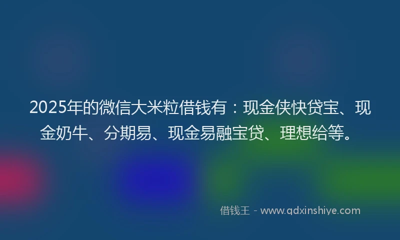 2025年的微信大米粒借钱有：现金侠快贷宝、现金奶牛、分期易、现金易融宝贷、理想给等。