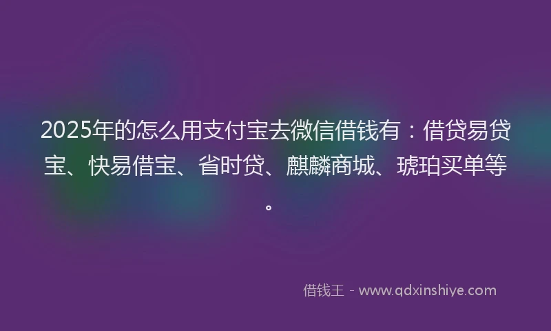 2025年的怎么用支付宝去微信借钱有：借贷易贷宝、快易借宝、省时贷、麒麟商城、琥珀买单等。