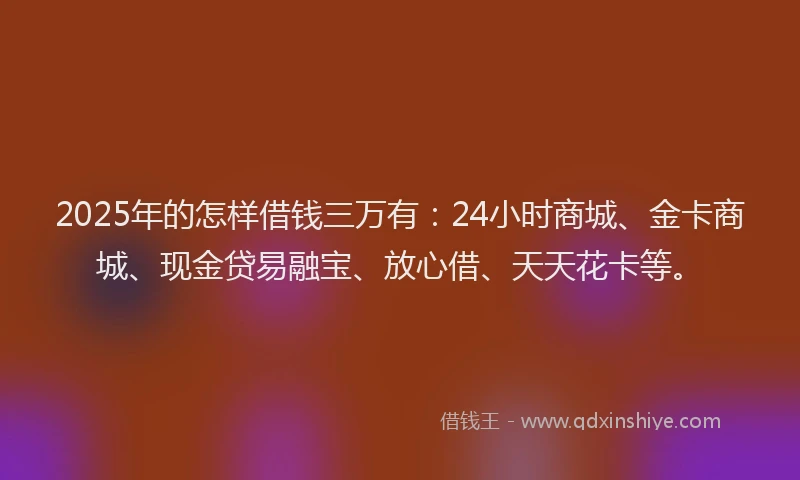 2025年的怎样借钱三万有：24小时商城、金卡商城、现金贷易融宝、放心借、天天花卡等。