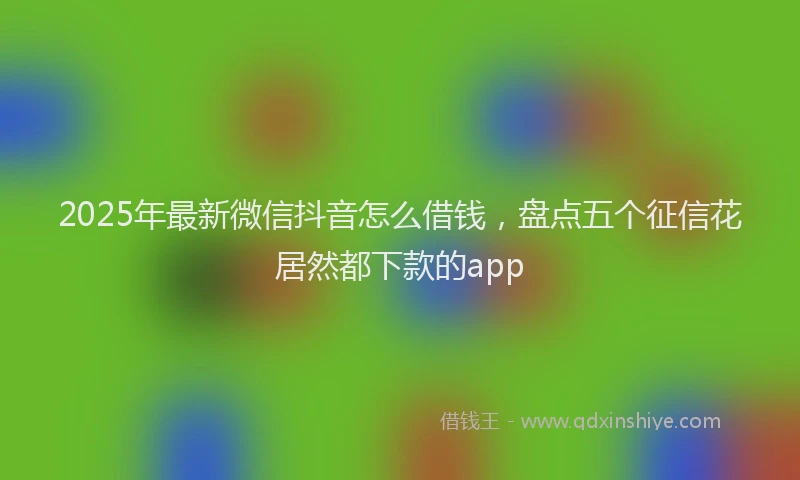 2025年最新微信抖音怎么借钱，盘点五个征信花居然都下款的app