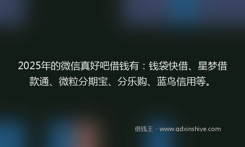 2025年的微信真好吧借钱有：钱袋快借、星梦借款通、微粒分期宝、分乐购、蓝鸟信用等。