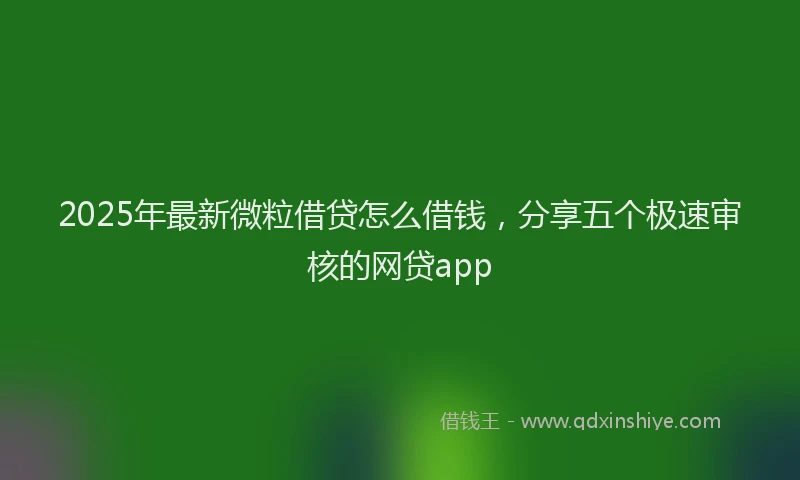 2025年最新微粒借贷怎么借钱，分享五个极速审核的网贷app
