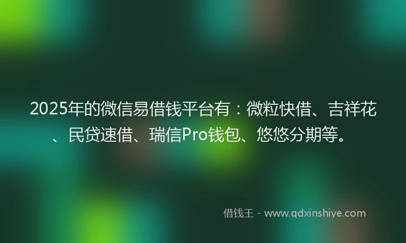 2025年的微信易借钱平台有：微粒快借、吉祥花、民贷速借、瑞信Pro钱包、悠悠分期等。