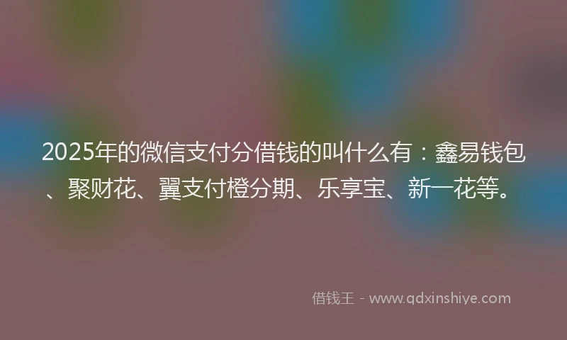 2025年的微信支付分借钱的叫什么有：鑫易钱包、聚财花、翼支付橙分期、乐享宝、新一花等。