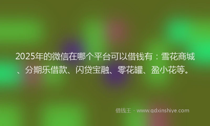 2025年的微信在哪个平台可以借钱有：雪花商城、分期乐借款、闪贷宝融、零花罐、盈小花等。