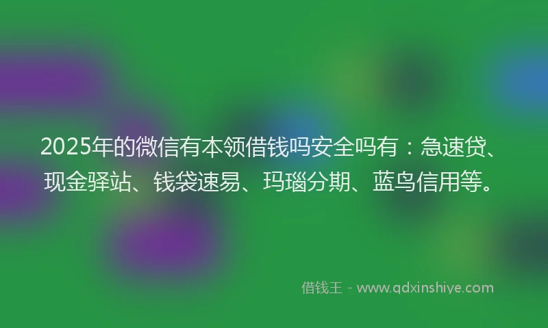 2025年的微信有本领借钱吗安全吗有：急速贷、现金驿站、钱袋速易、玛瑙分期、蓝鸟信用等。